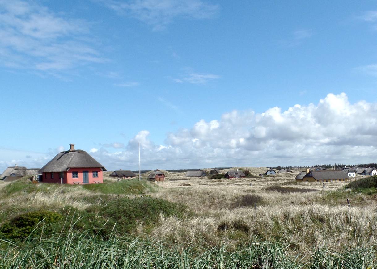 Reetdachhäuser zwischen Dünen und Strandhafer