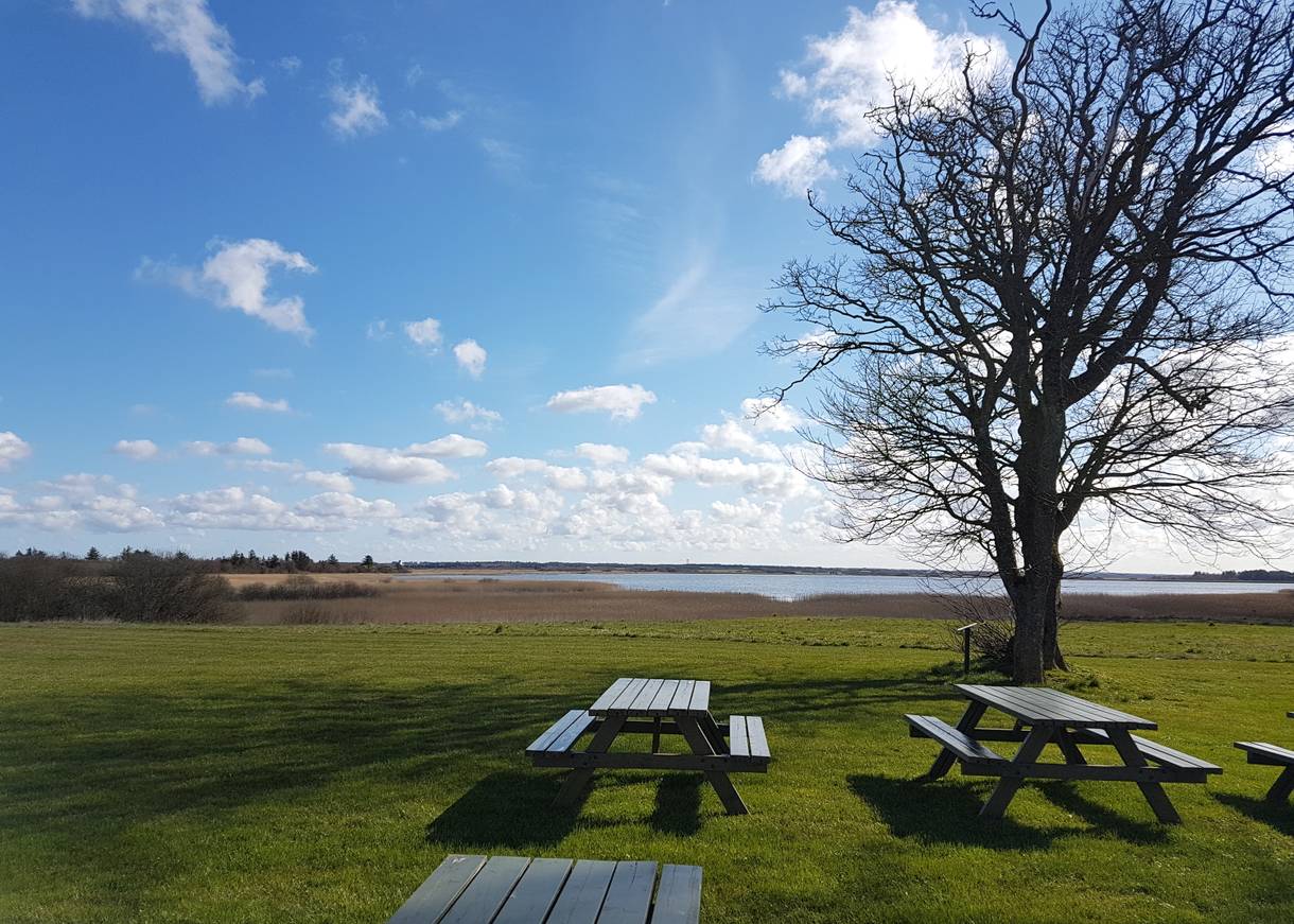 Picknickbänke auf einer Wiese, im Hintergrund ein See