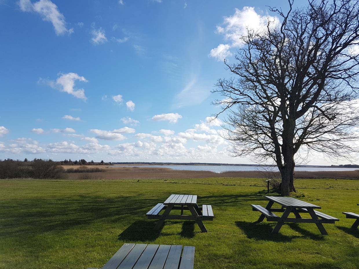 Picknickbänke auf einer Wiese, im Hintergrund ein See