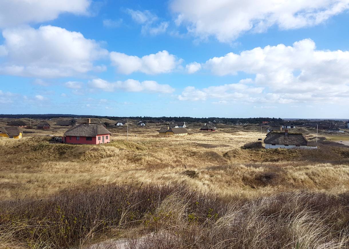 Weitere Reetdachhäuser zwischen Dünen und Strandhafer