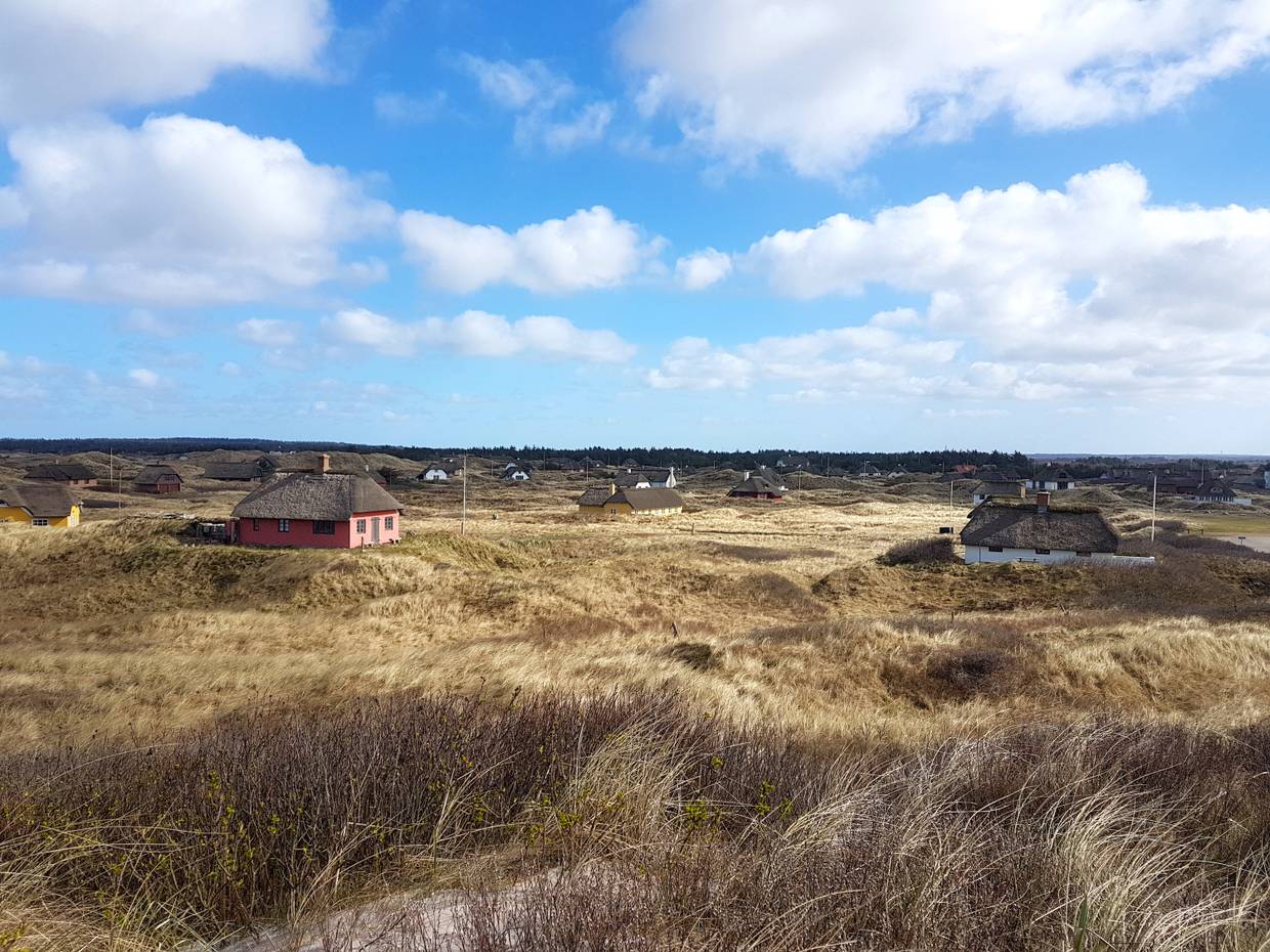 Weitere Reetdachhäuser zwischen Dünen und Strandhafer