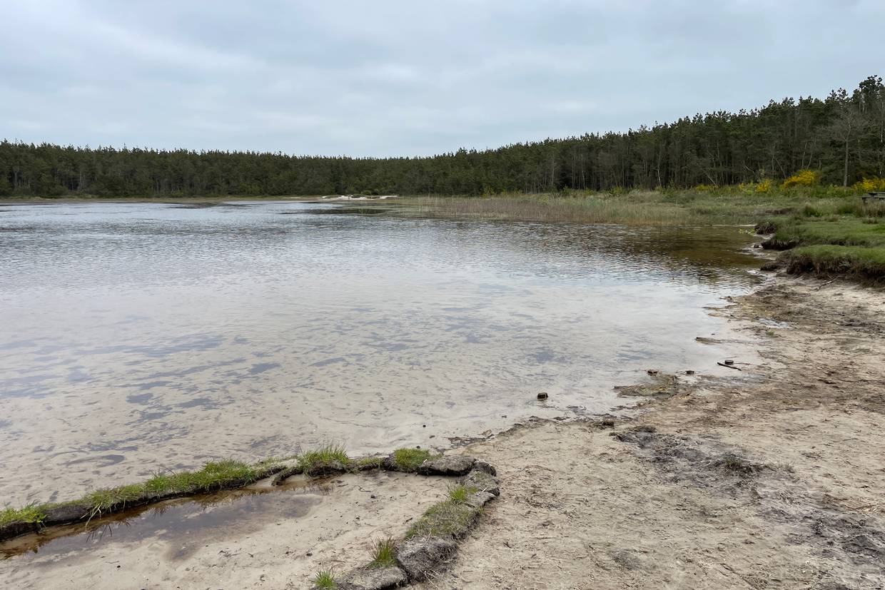 Foto von Skavemosen Badesee