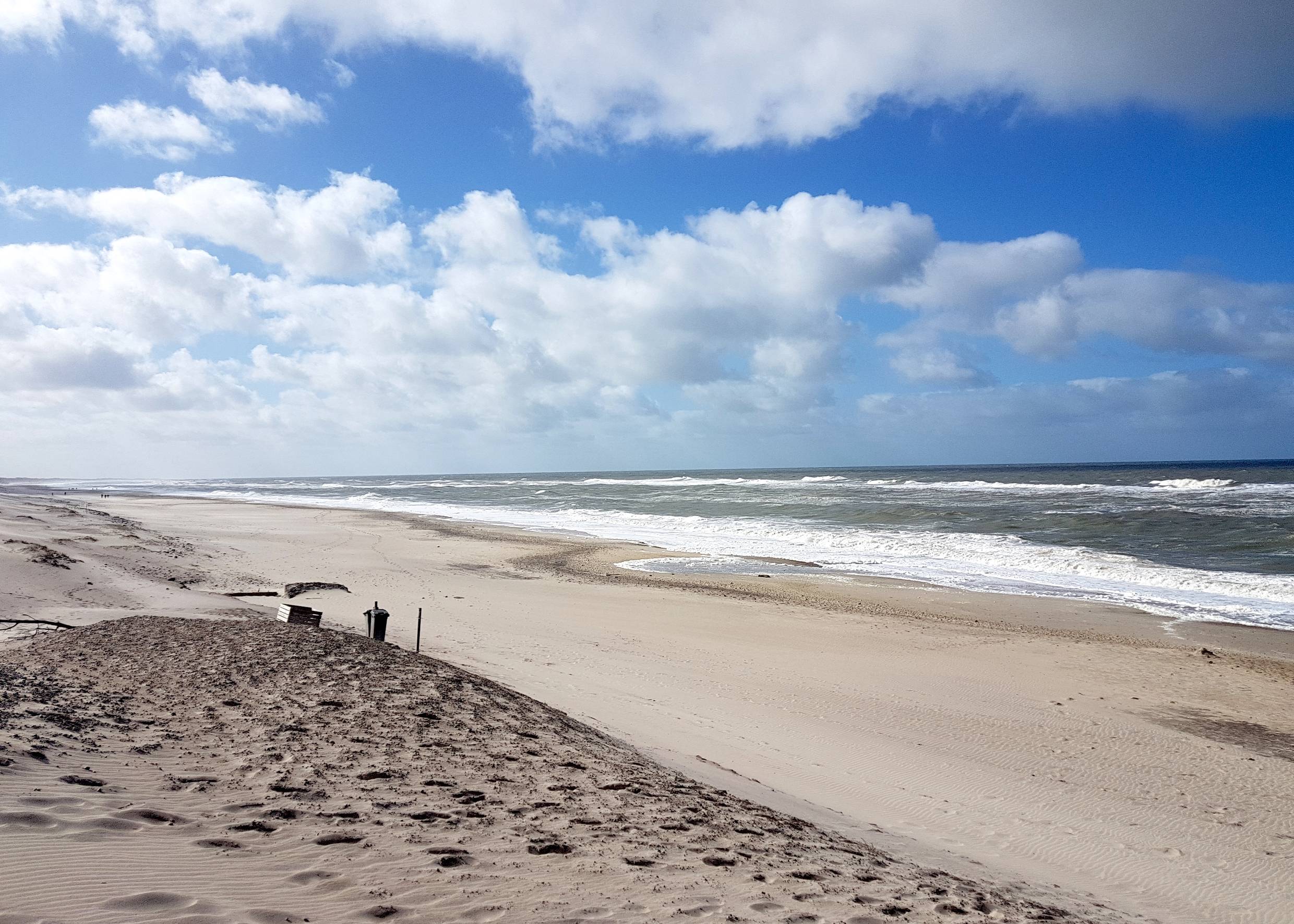Aussicht auf einen Nordseestrand, an den Dünen eine Holzkiste und eine Mülltonne