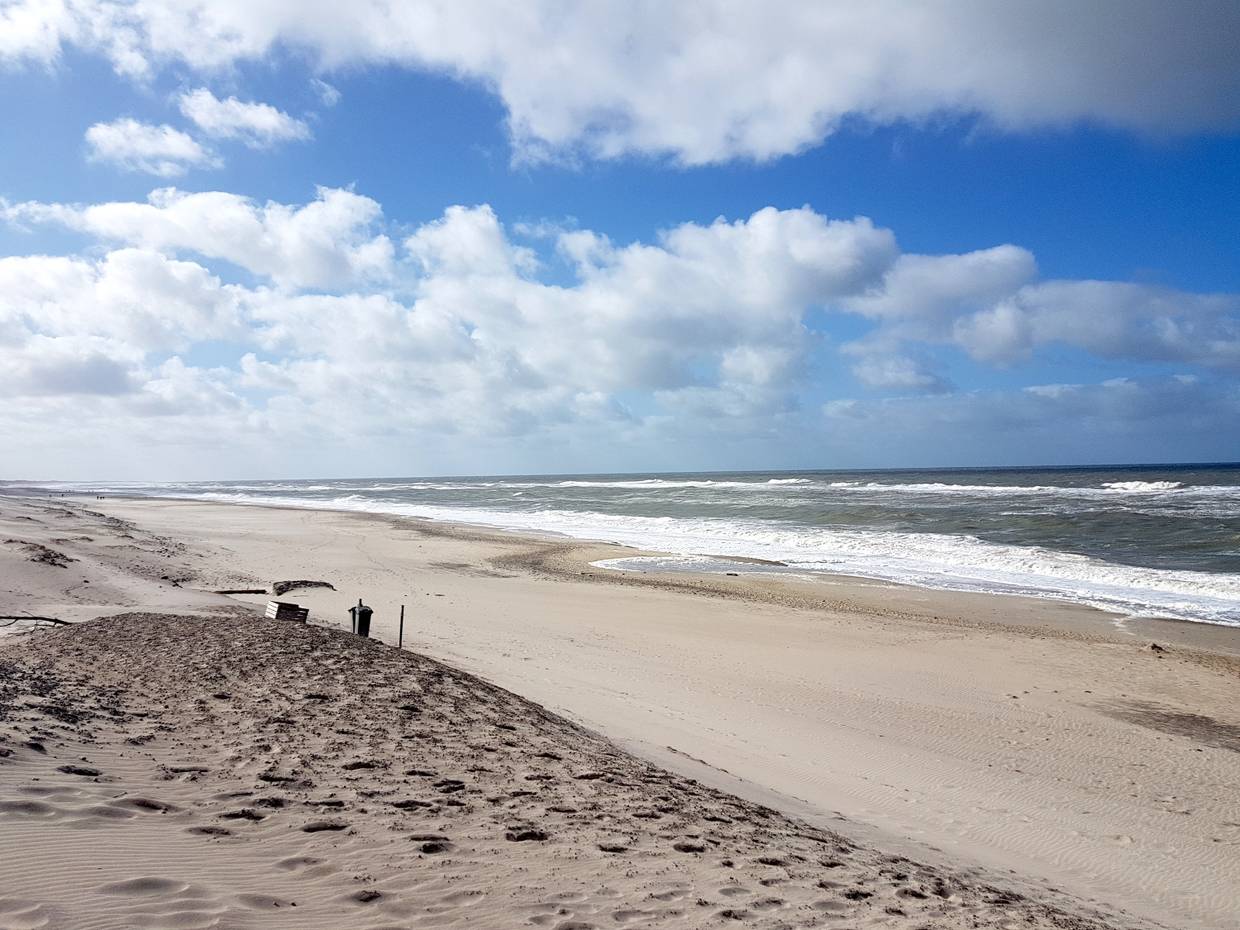 Aussicht auf einen Nordseestrand, an den Dünen eine Holzkiste und eine Mülltonne
