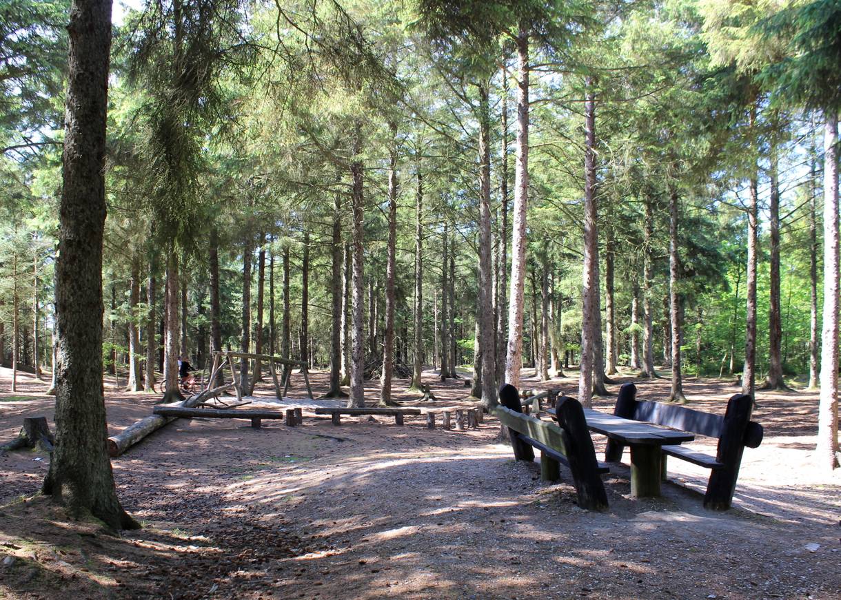 Spielgeräte im Wald