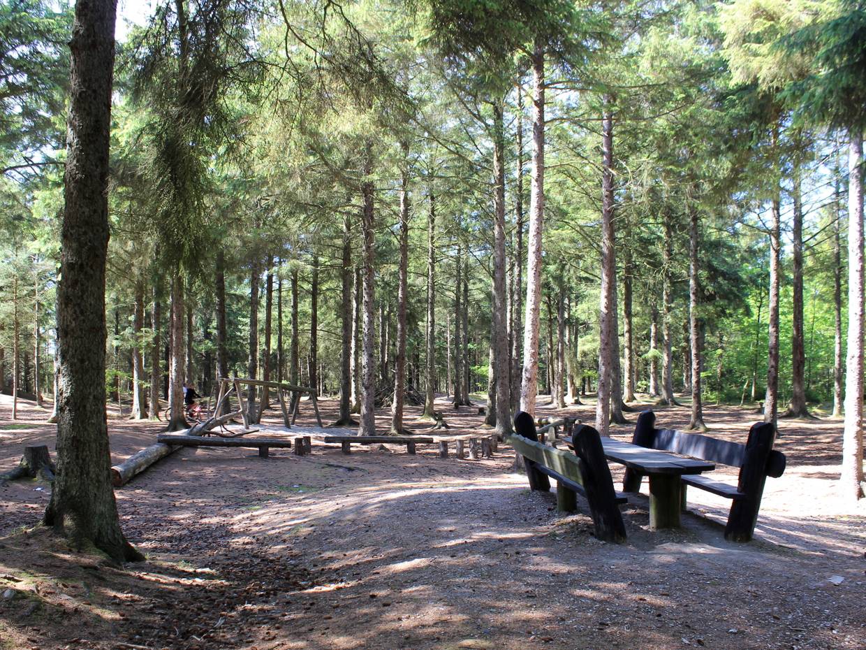 Spielgeräte im Wald
