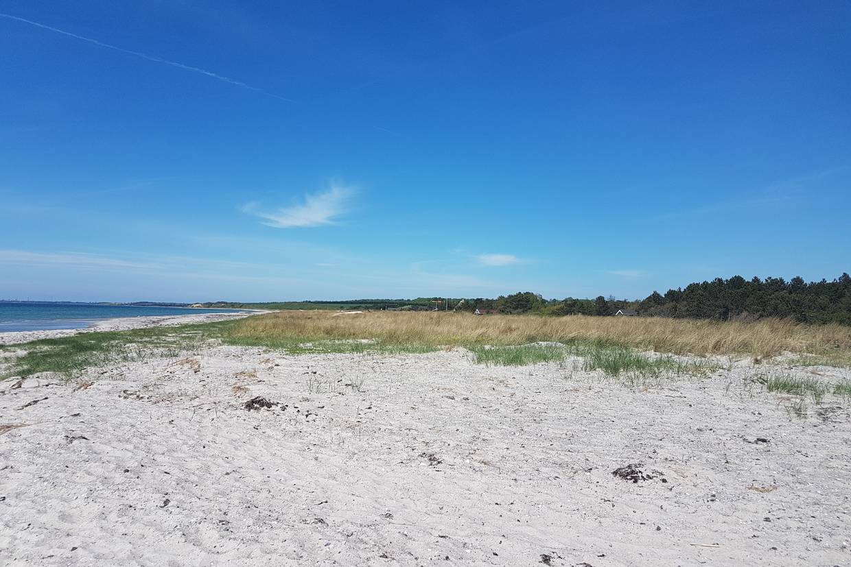 Foto von Bjerge Strand