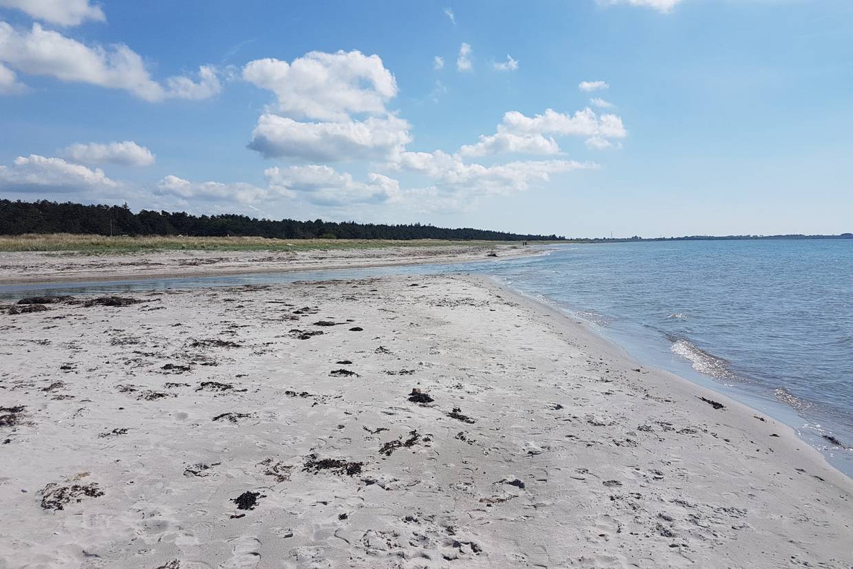 Foto von Bjerge Strand
