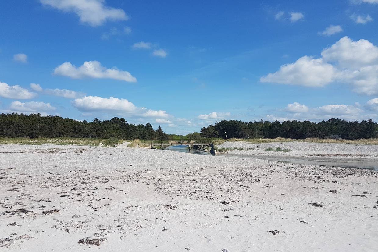 Foto von Bjerge Strand