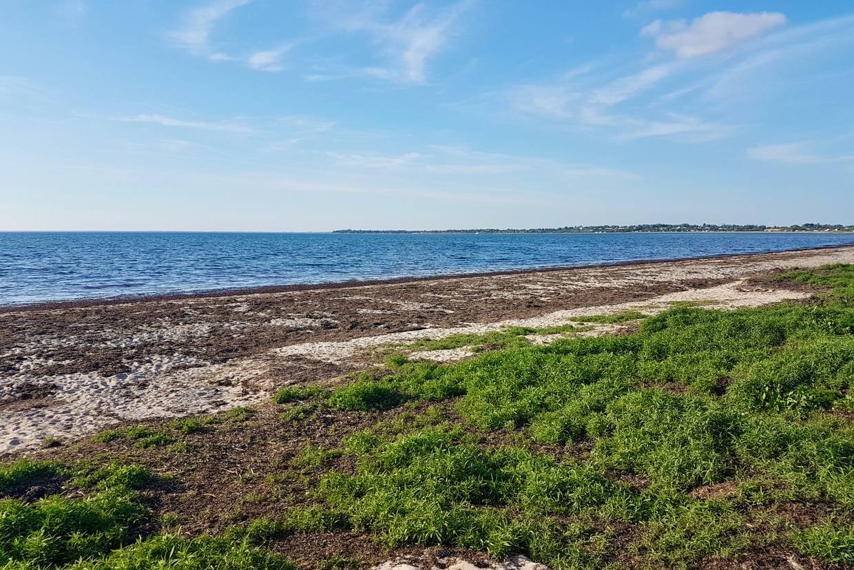 Foto von Frølunde Fed Strand