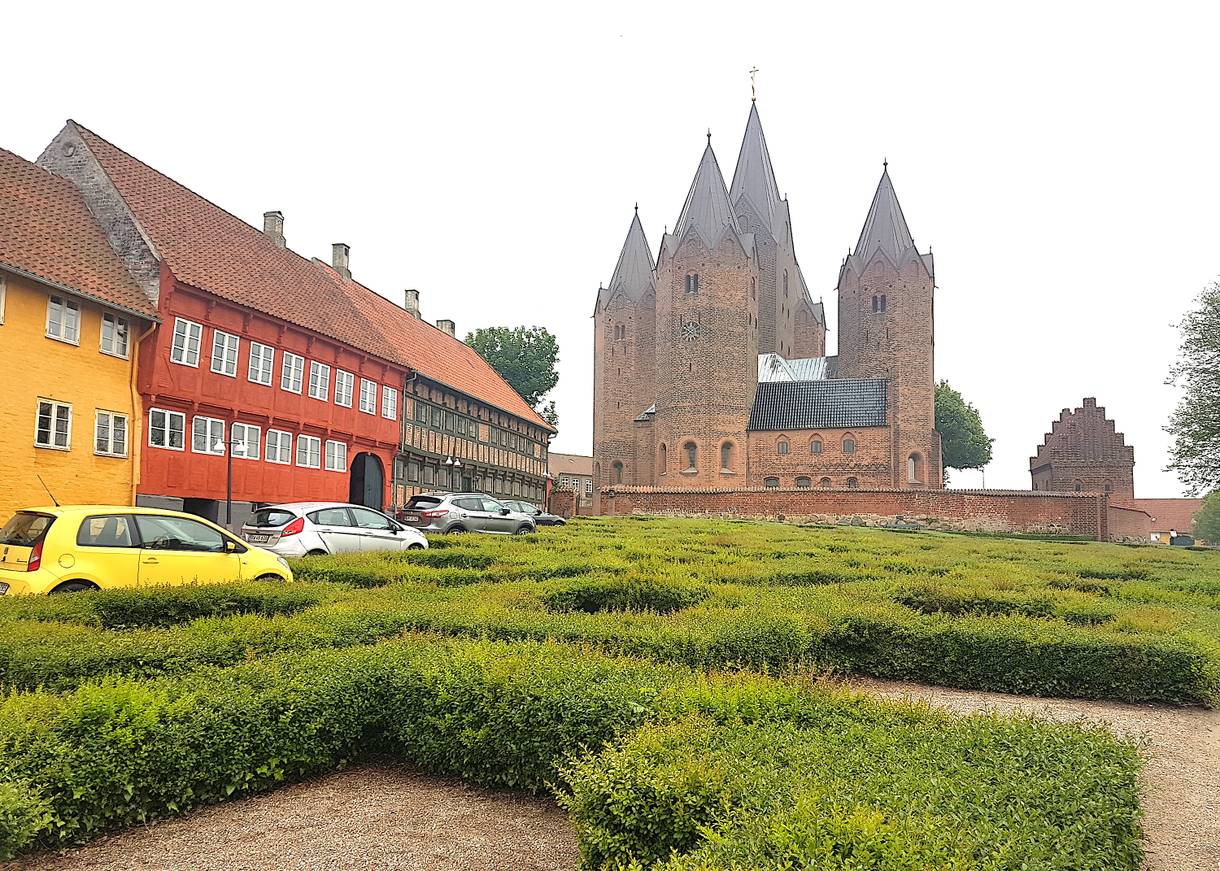 Alte Häuser und der Dom, davor ein Buchsbaumlabyrinth
