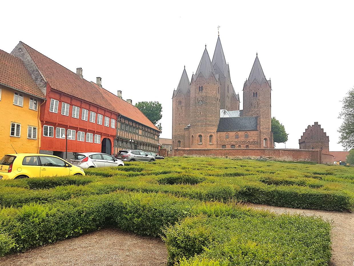 Alte Häuser und der Dom, davor ein Buchsbaumlabyrinth