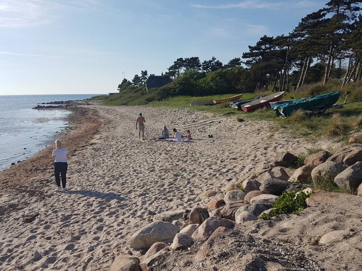 Badegäste an einer kleinen Sandbucht, dahinter Kiefern