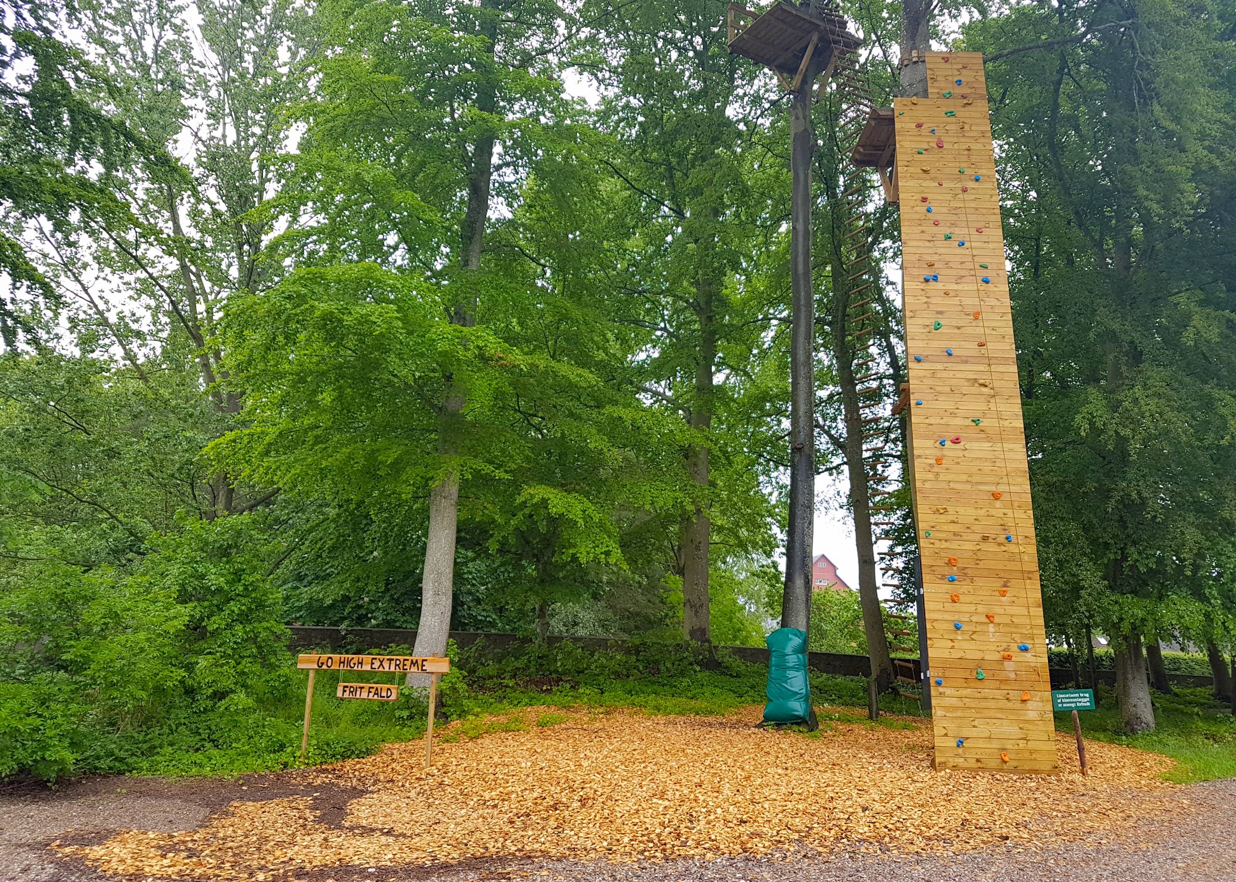 Schmale, hohe Kletterwand, die an einen Baum gelehnt ist