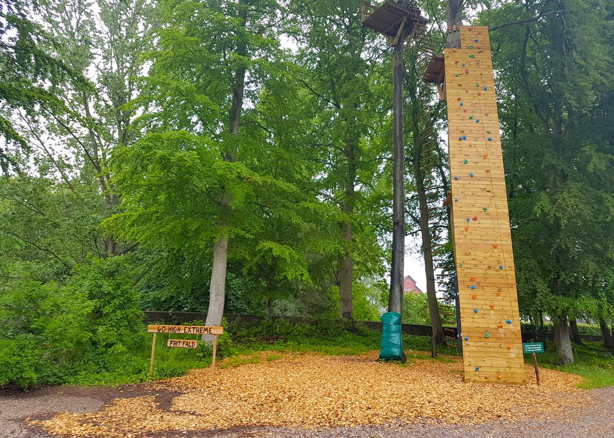 Schmale, hohe Kletterwand, die an einen Baum gelehnt ist