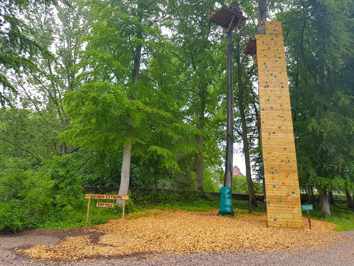Schmale, hohe Kletterwand, die an einen Baum gelehnt ist