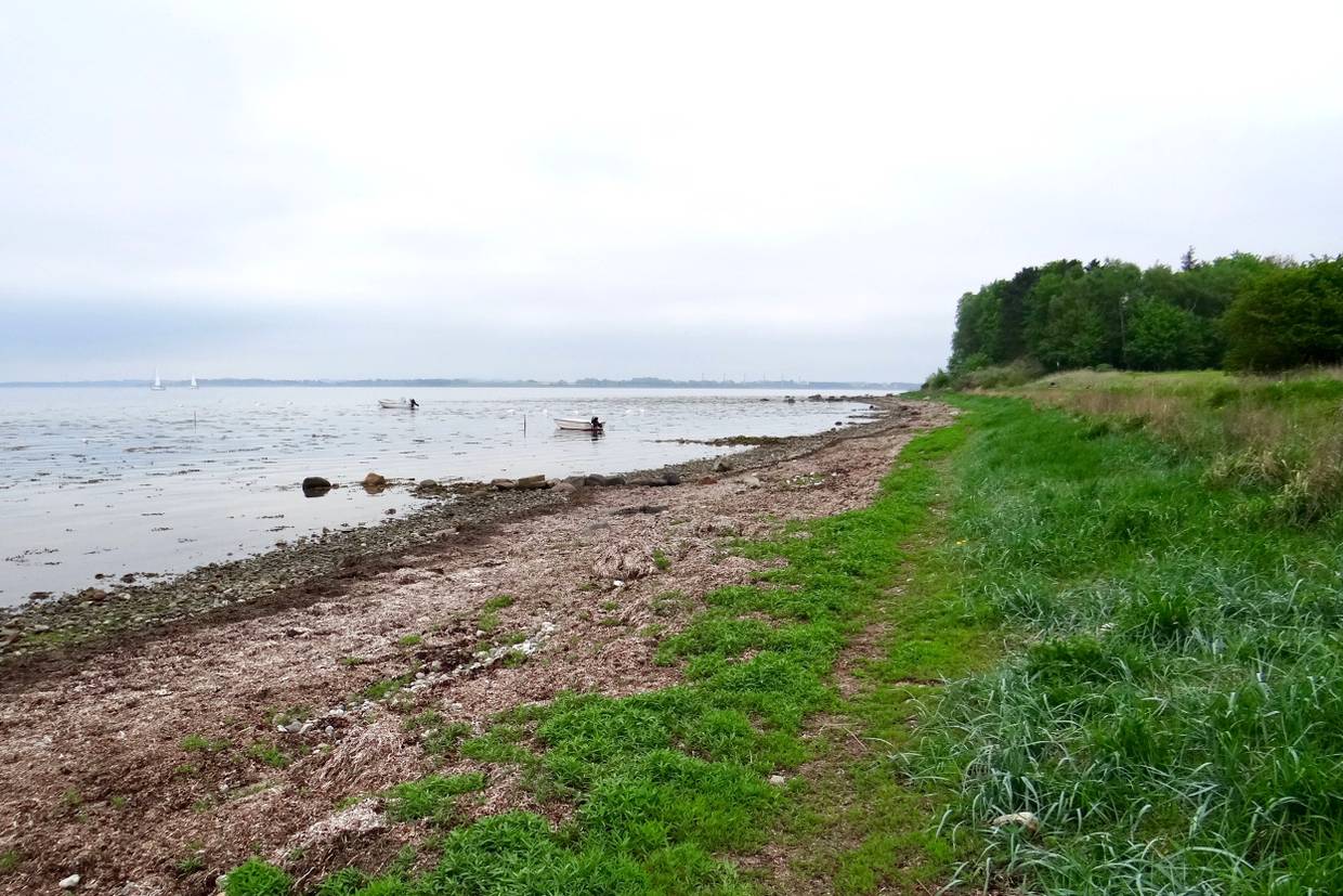 Foto von Loserup Strand