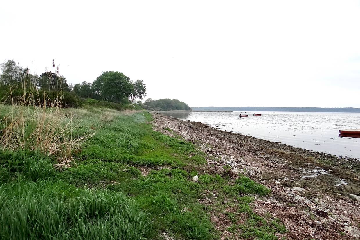 Foto von Loserup Strand