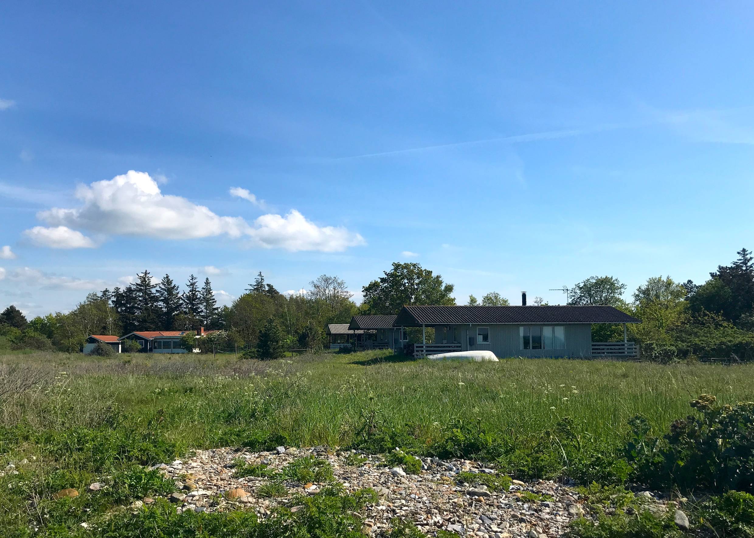 Ferienhäuser unter Bämen, davor Wiese und Meer