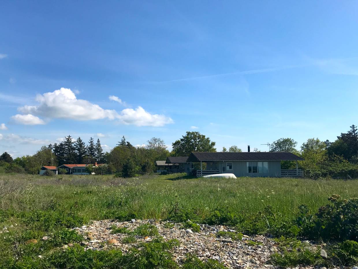 Ferienhäuser unter Bämen, davor Wiese und Meer