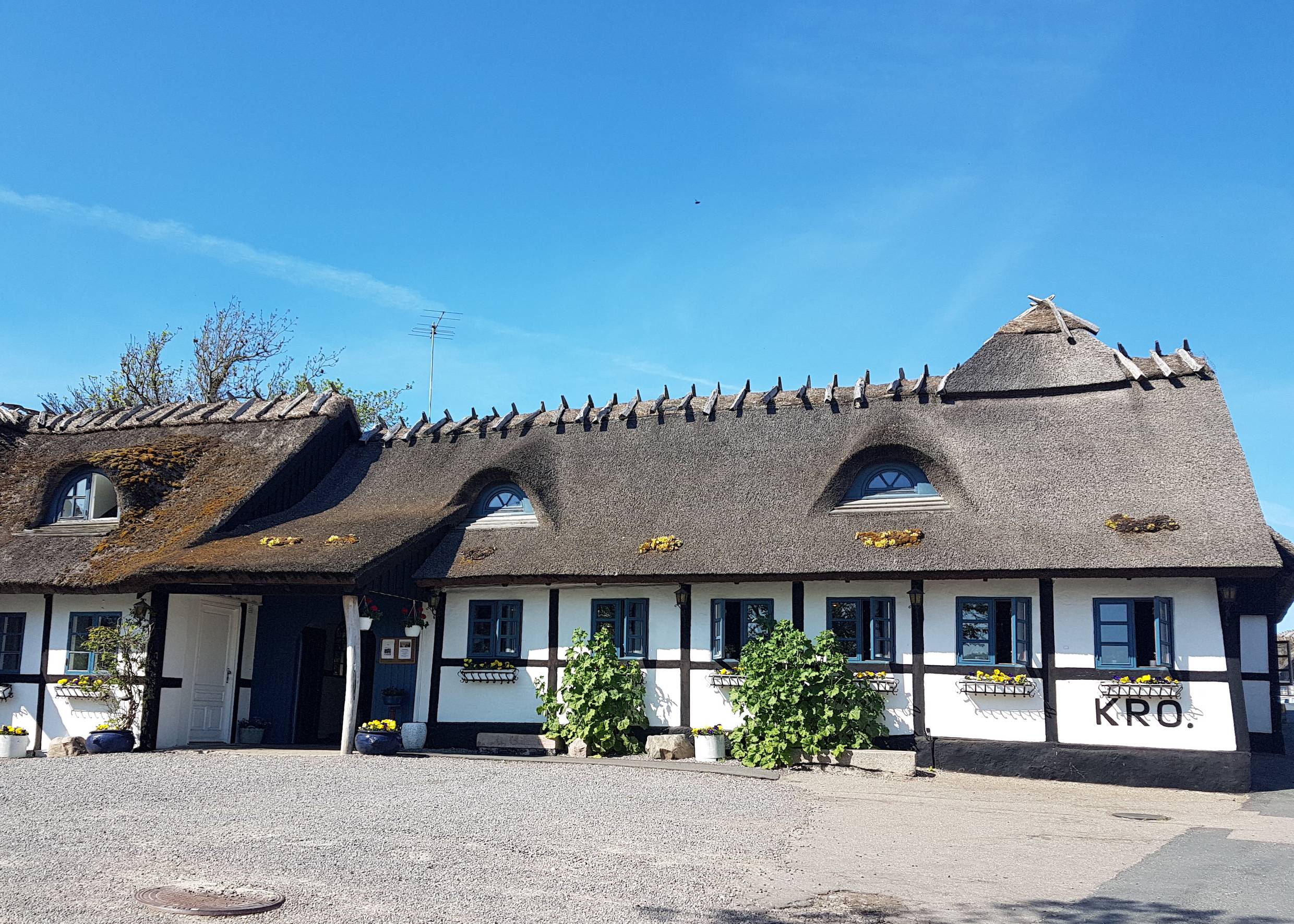 Ein weißer Fachwerkhof mit Reetdach und blauen Fenstern