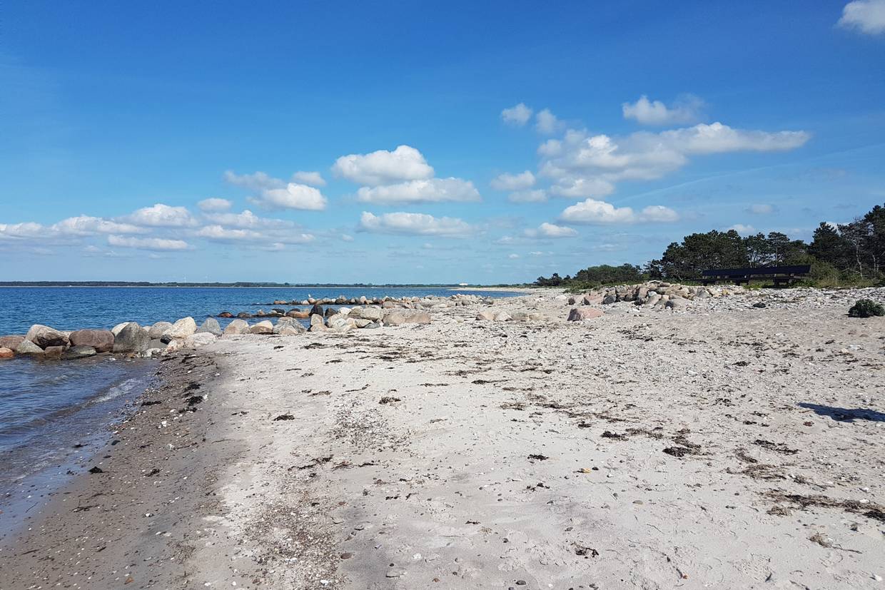 Foto von Reersø Strand