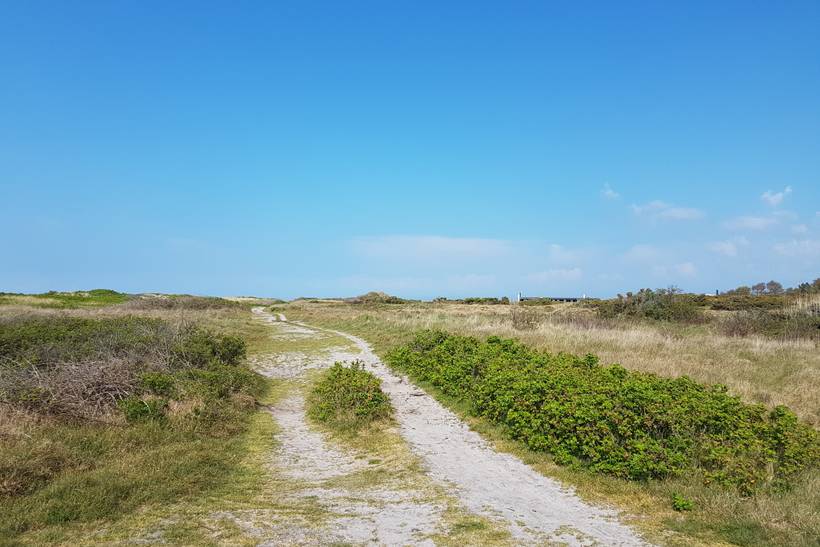 Foto von Korshage Strand