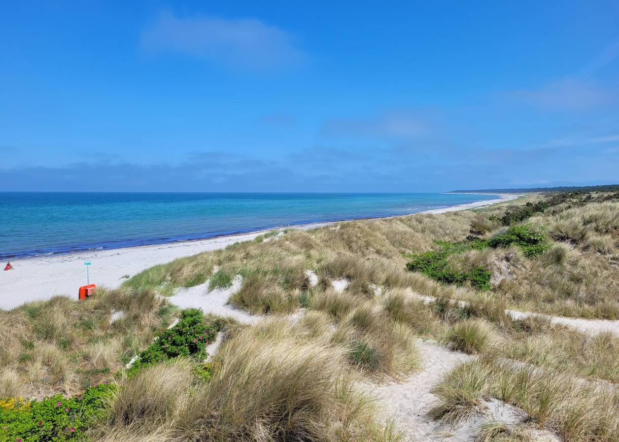 Strandzugang in Rørvig an der Klitplantage