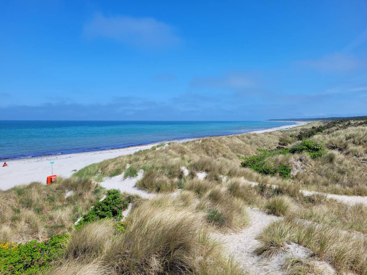 Strandzugang in Rørvig an der Klitplantage