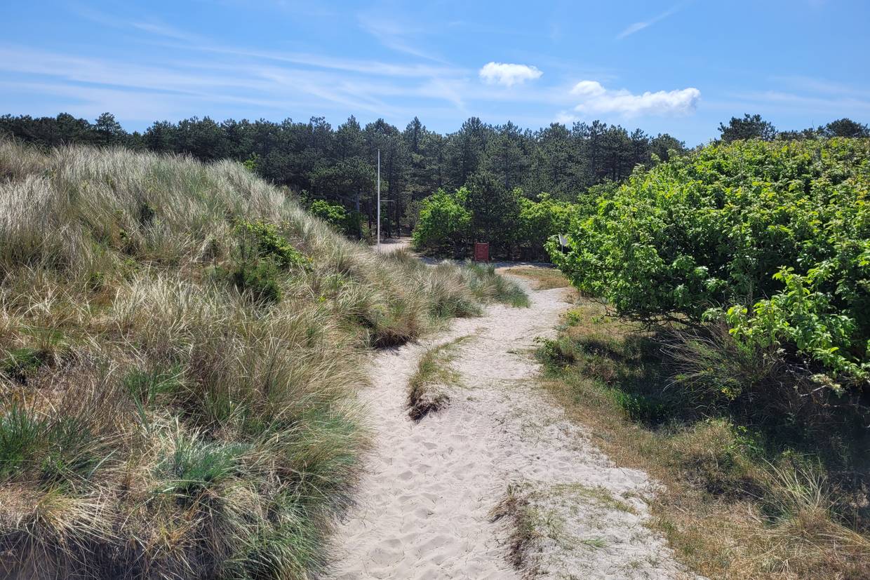 Foto von Rørvig Strand