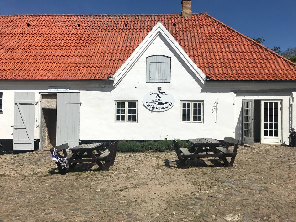 Weißer Hof mit Picknickbänken vor der Tür