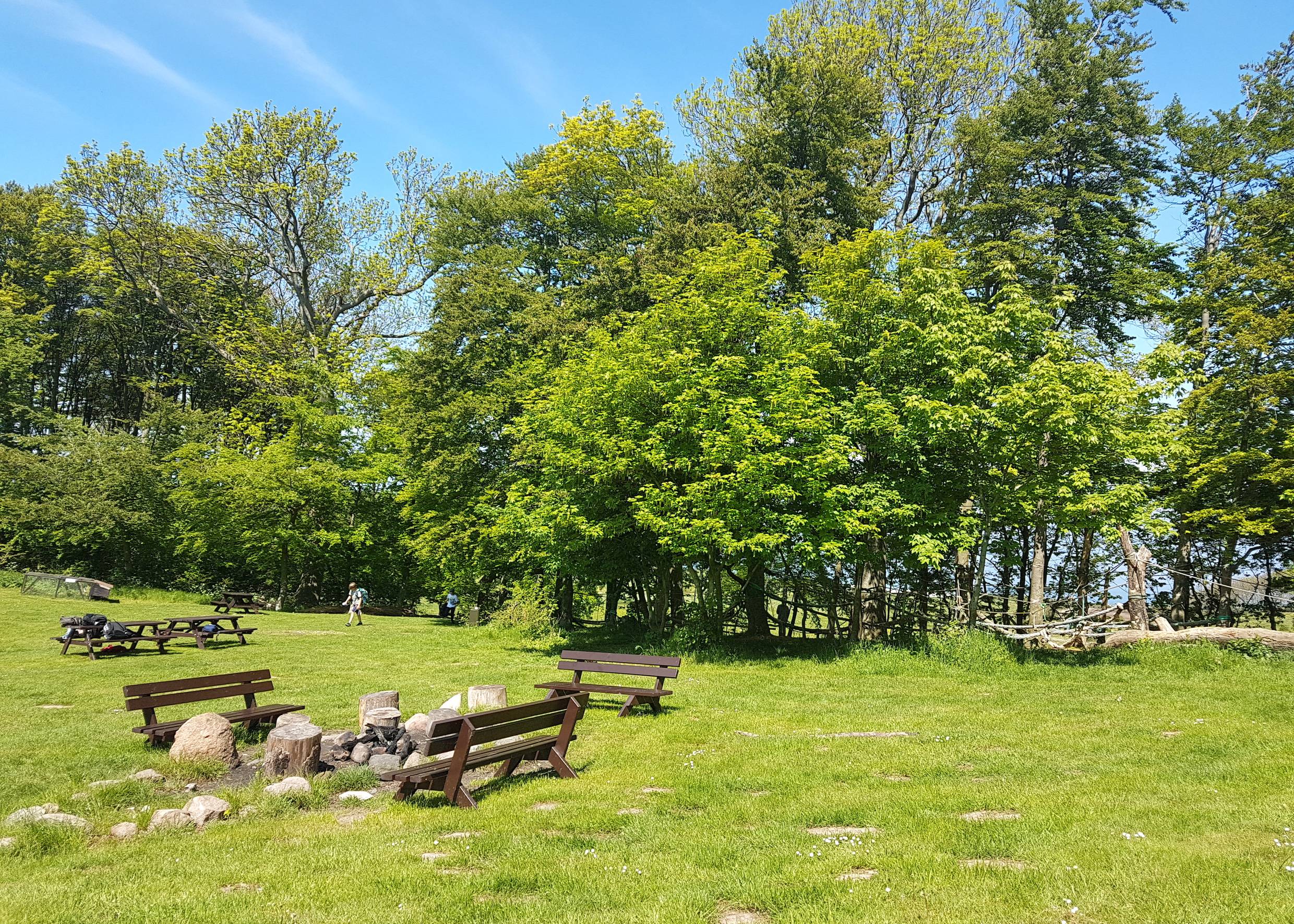 Wiese zwischen den Bäumen mit Picknickbänken