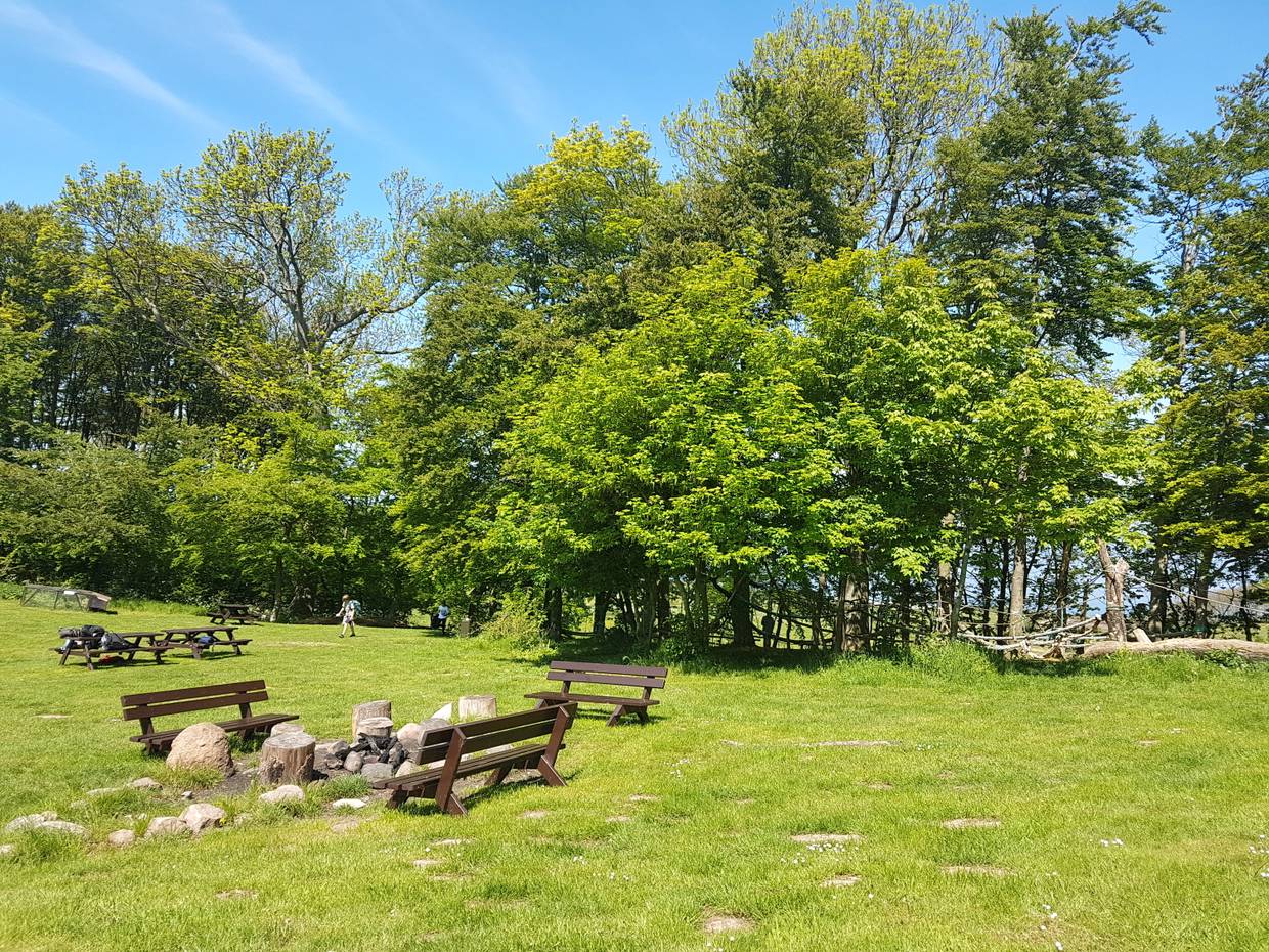 Wiese zwischen den Bäumen mit Picknickbänken