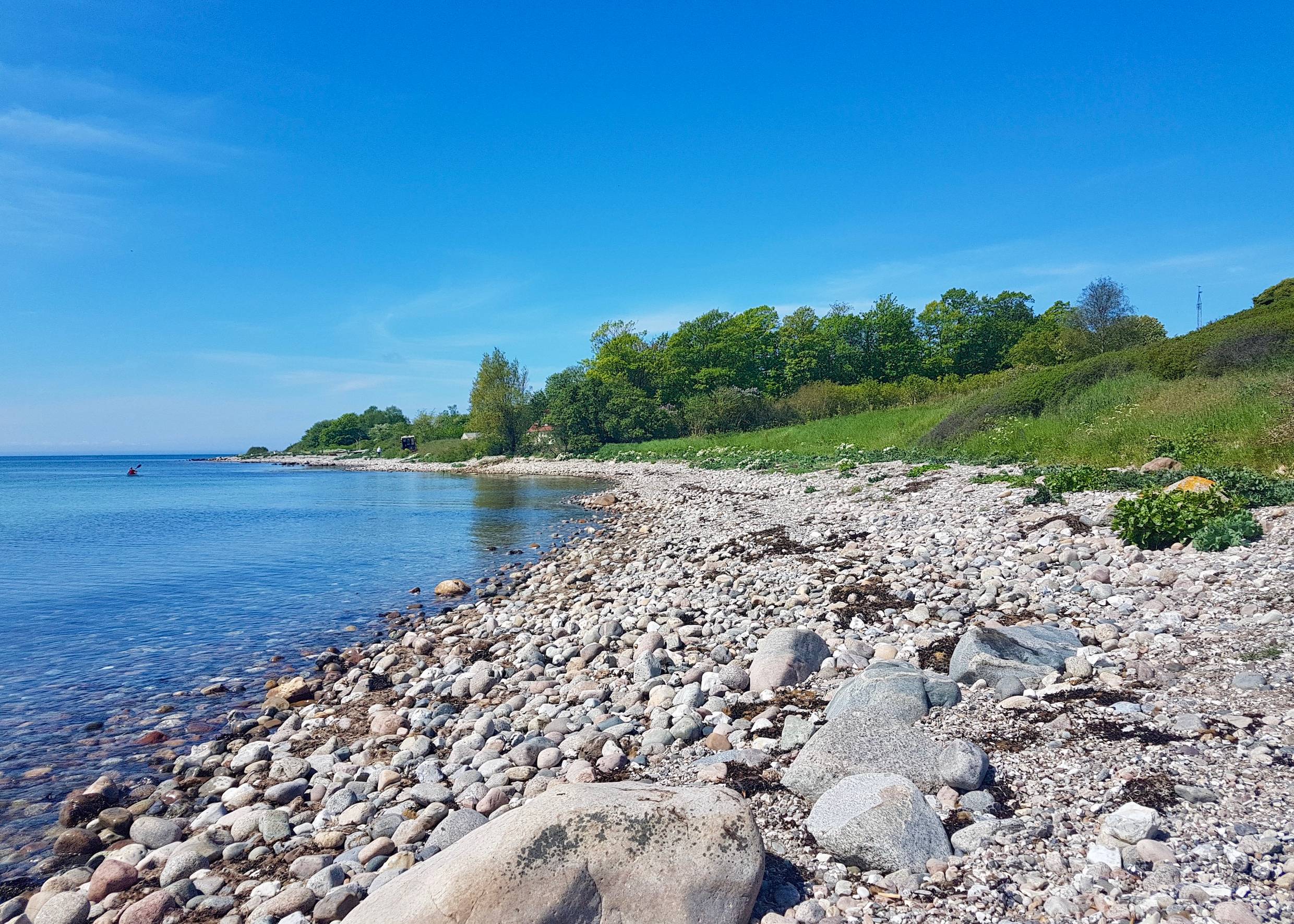 Steiniger Strand unter eine flachen, grünen Steilküste
