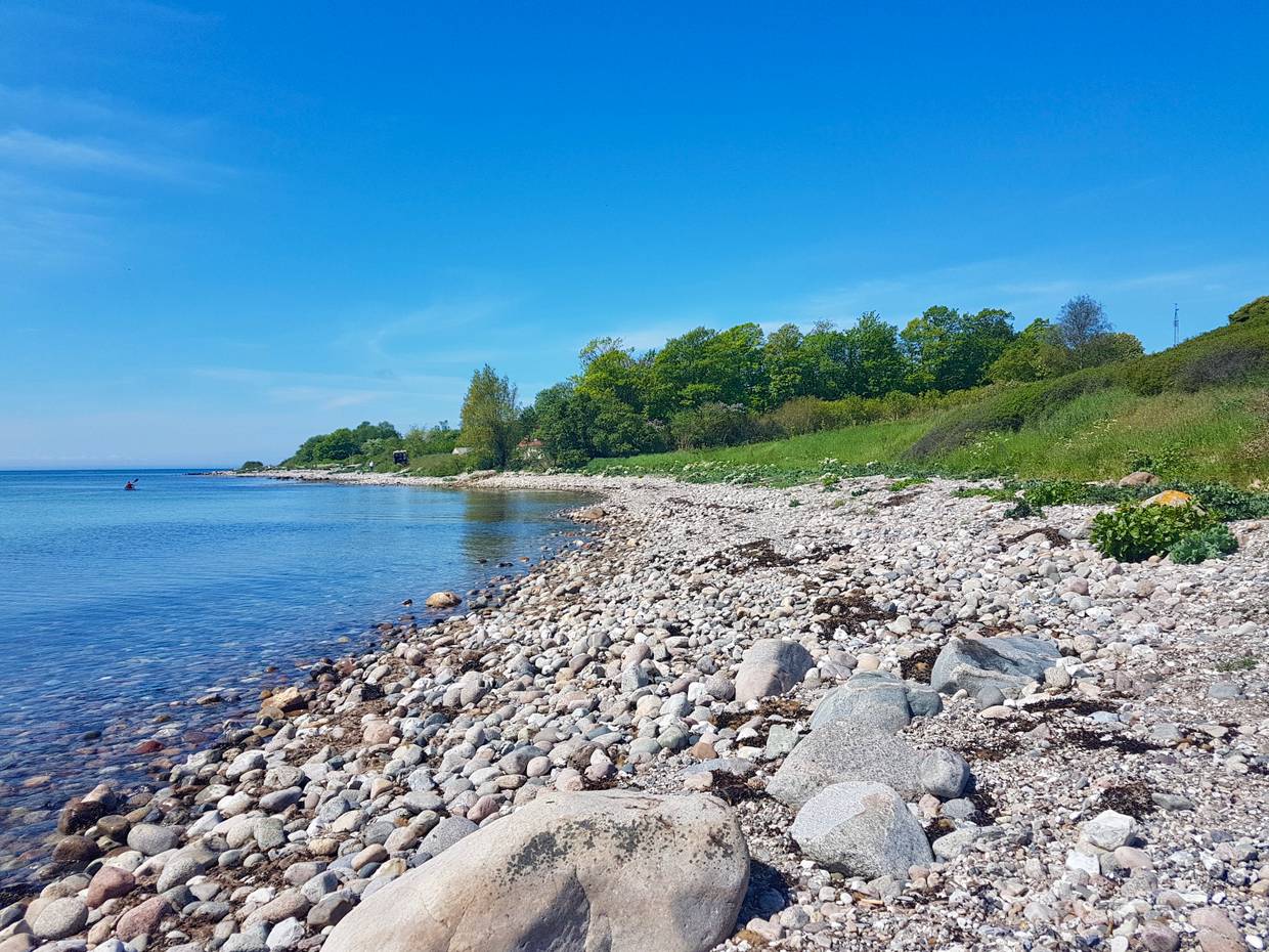 Steiniger Strand unter eine flachen, grünen Steilküste