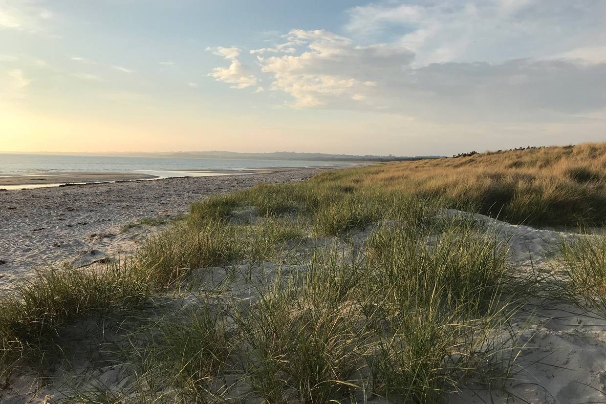 Foto von Gudmindrup und Tengslemark Strand