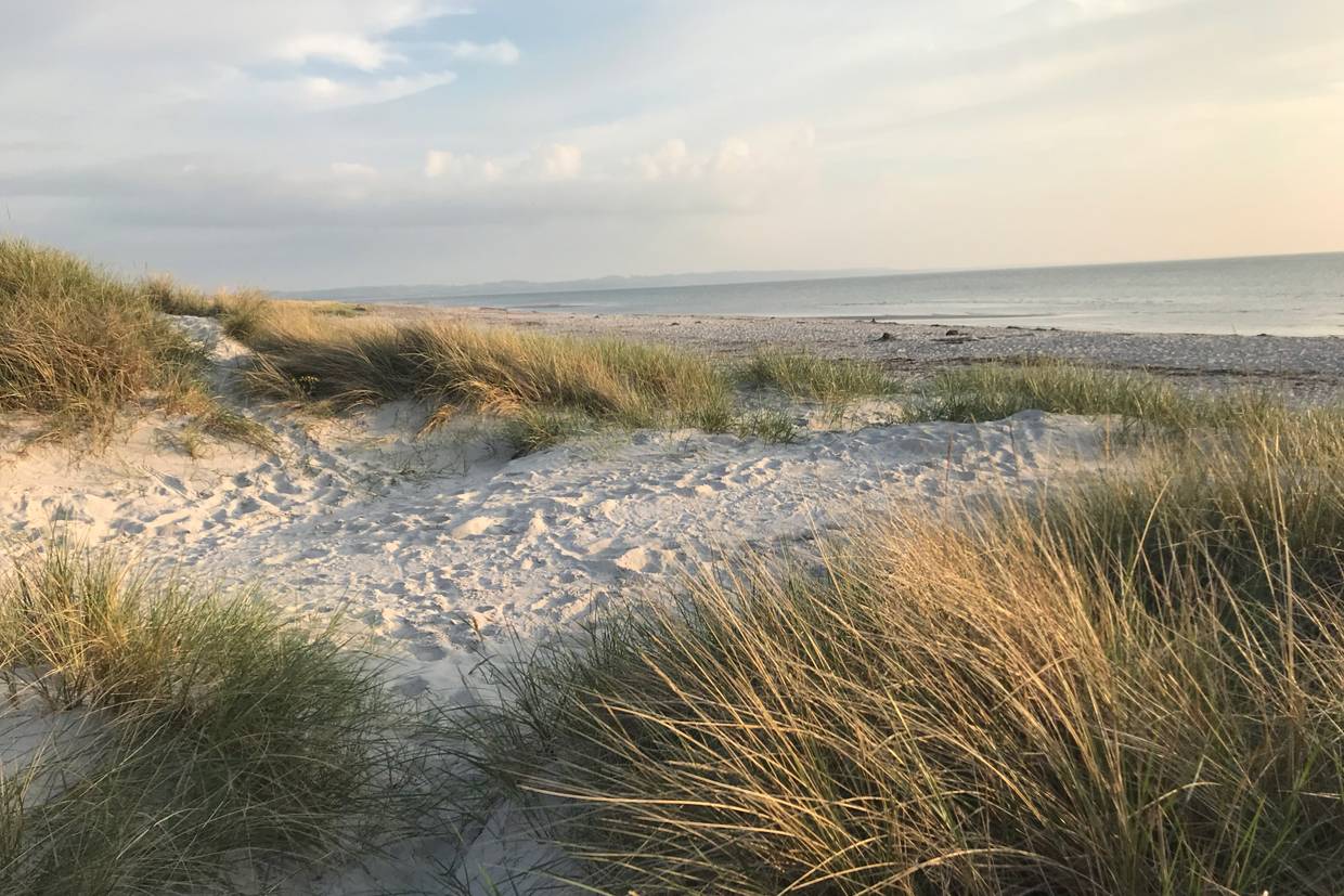 Foto von Gudmindrup und Tengslemark Strand