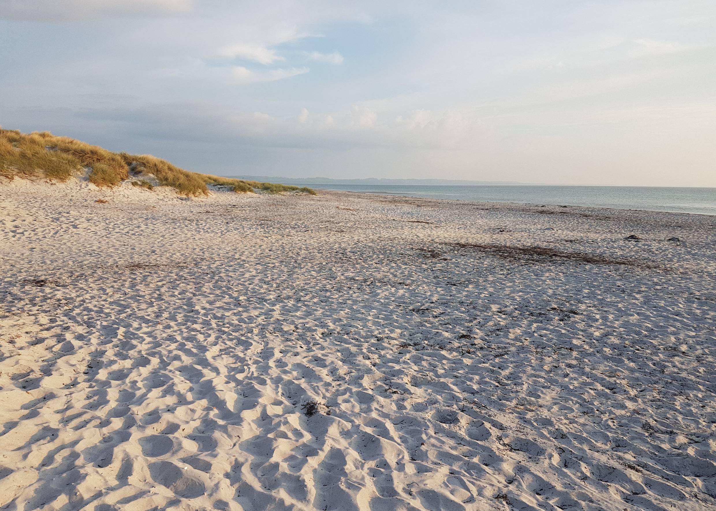 Sandstrand mit flacher Düne in der Abendsonne