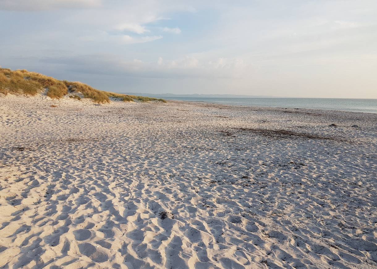 Sandstrand mit flacher Düne in der Abendsonne