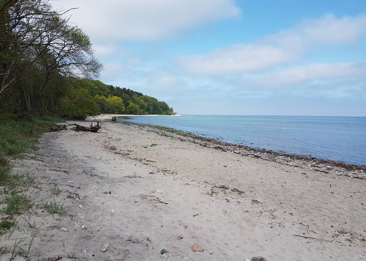 Sandstrand mit Steinen vor einem Wald