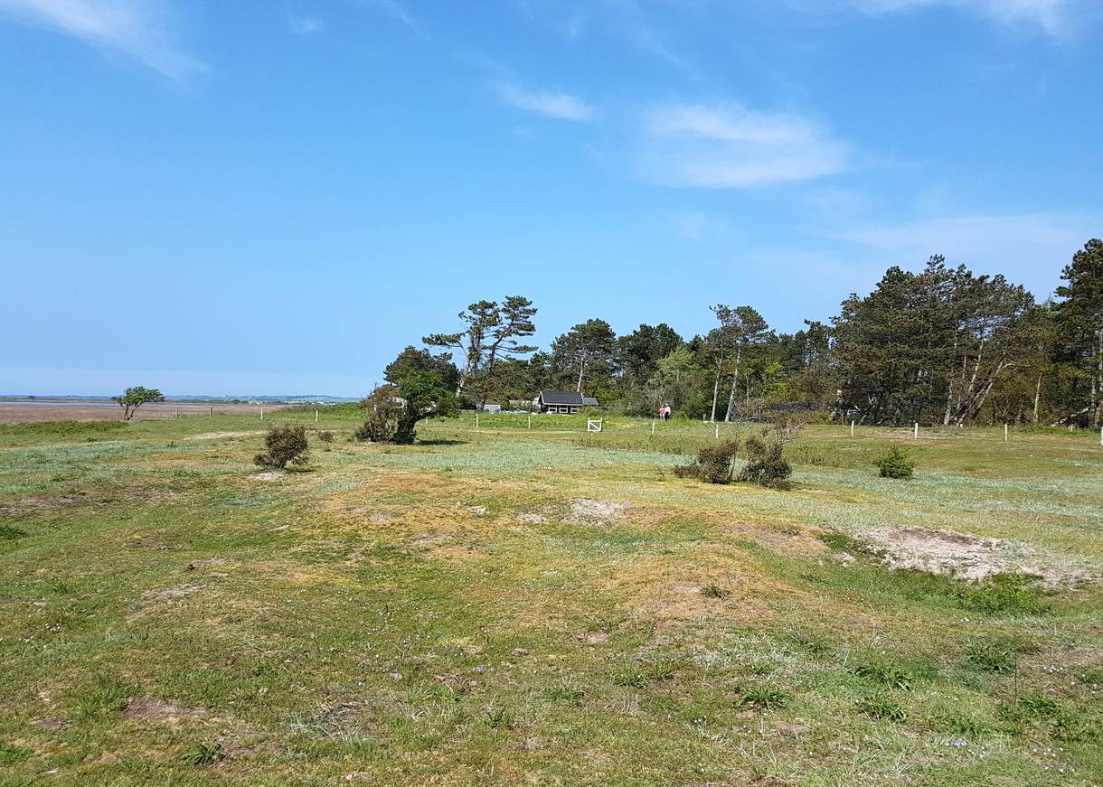 Ferienhaus am Waldrand mit Meerblick