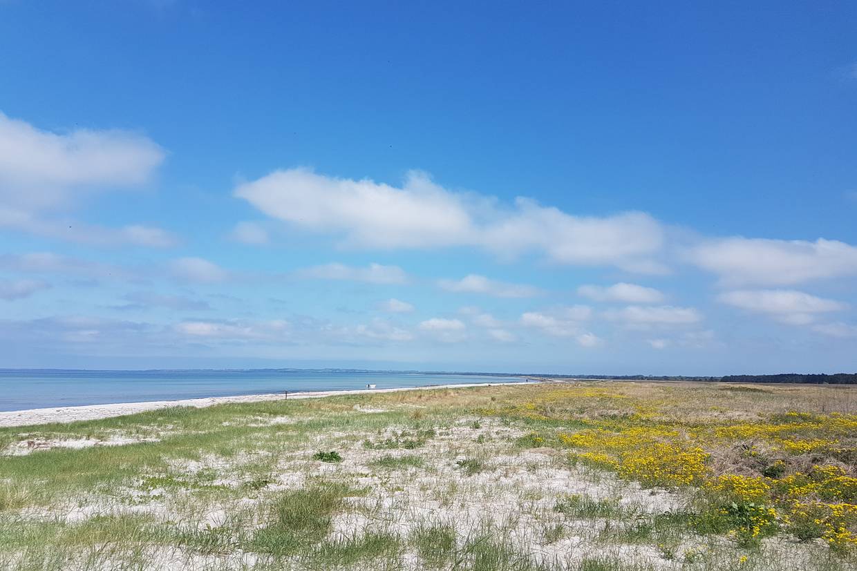 Foto von Korevlerne Strand