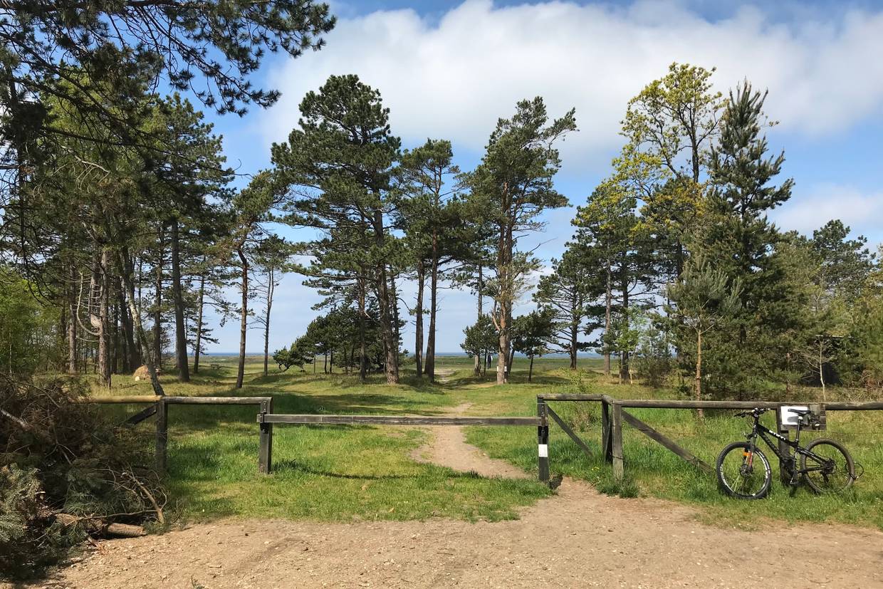 Foto von Korevlerne Strand