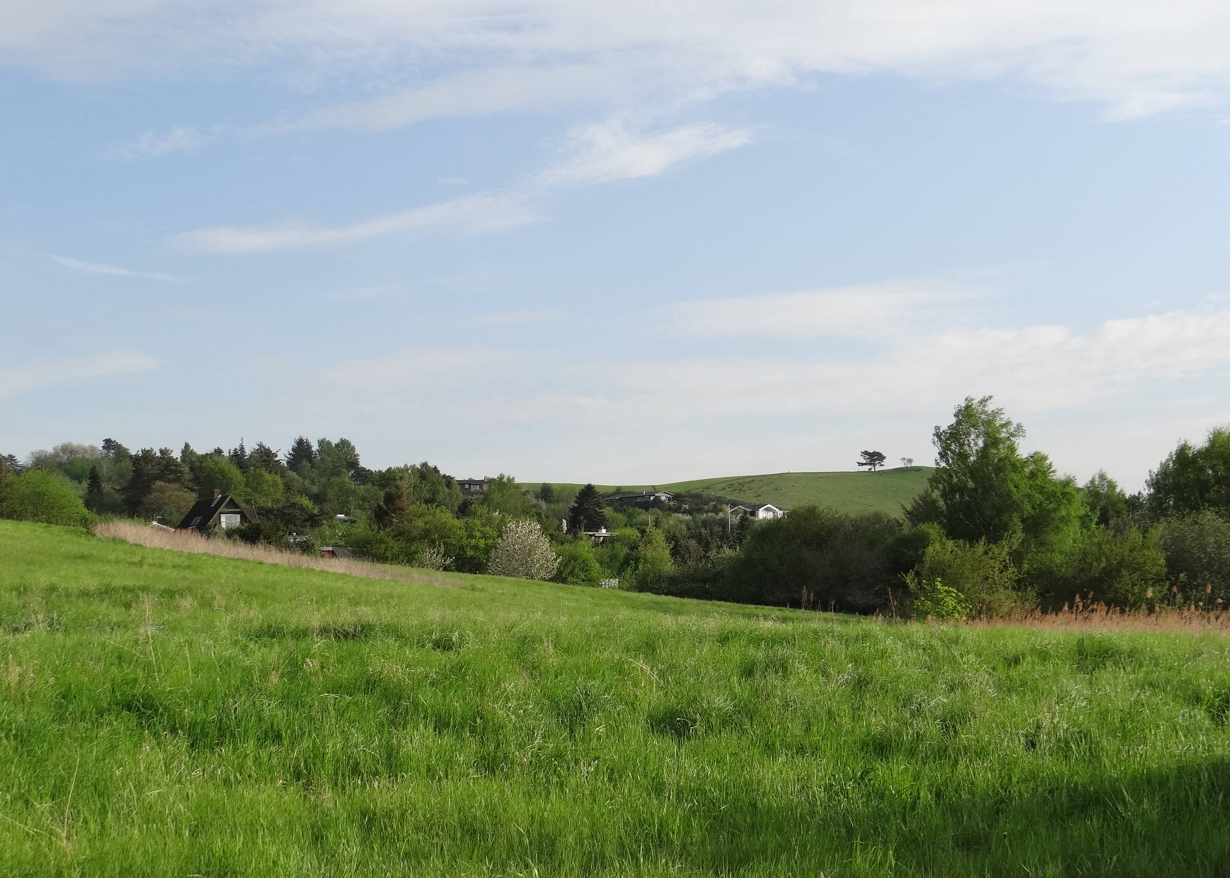Ferienhäuser in einem Tal, versteckt zwischen Bäumen