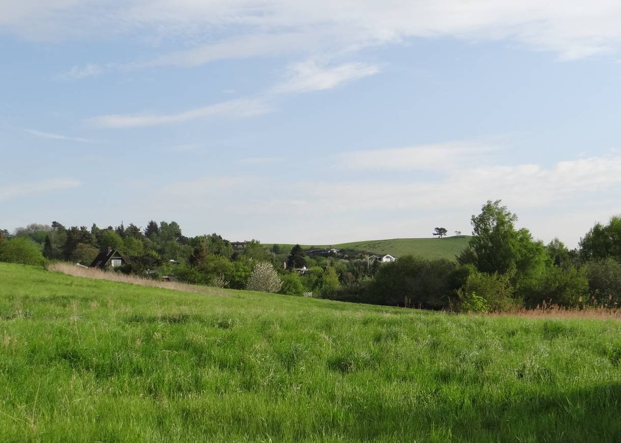 Ferienhäuser in einem Tal, versteckt zwischen Bäumen