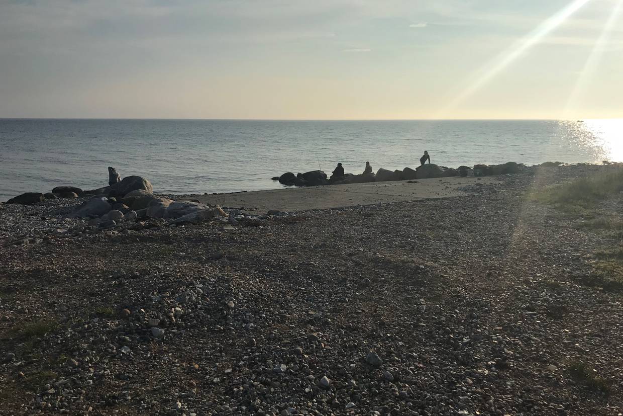 Foto von Yderby Lyng Strand