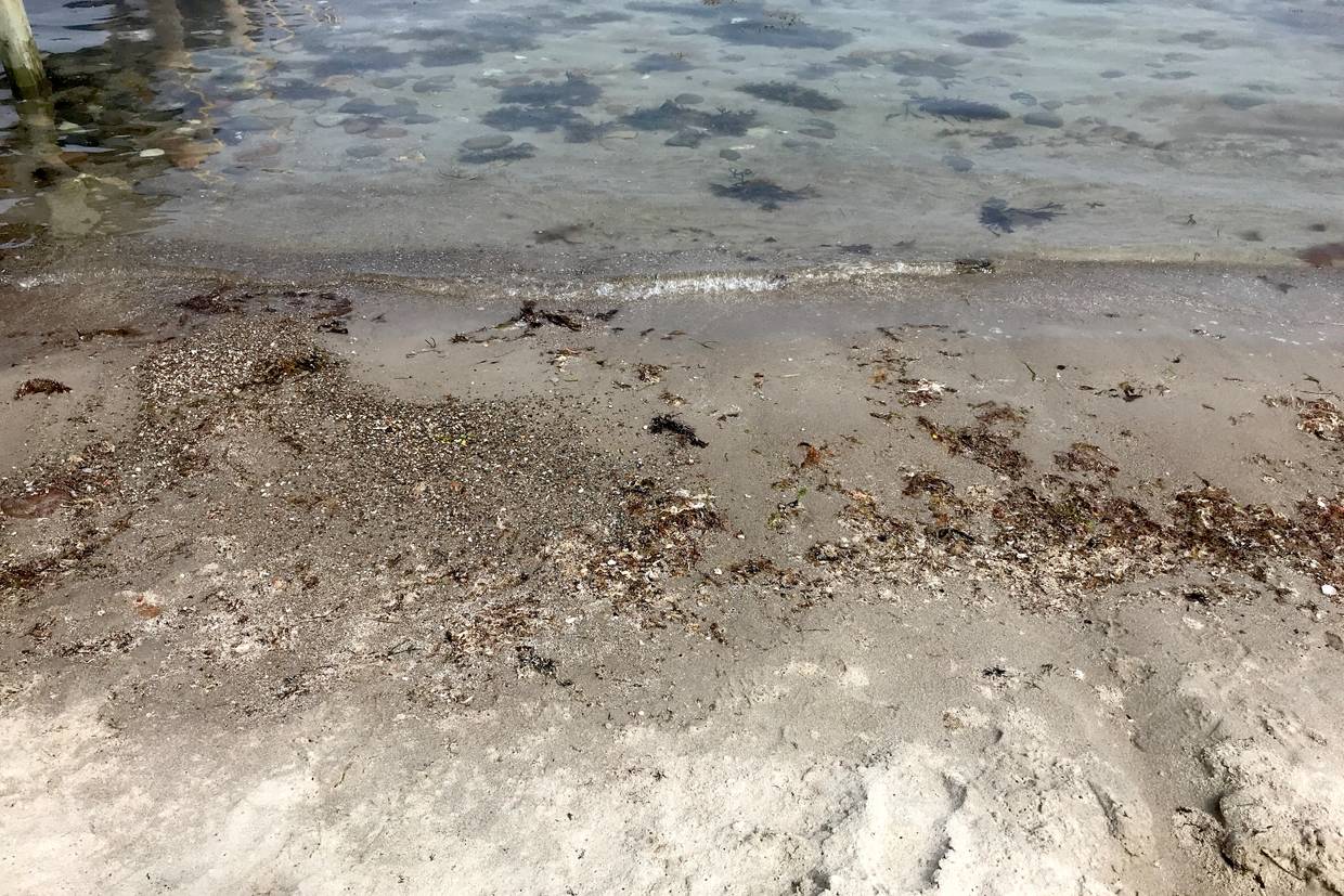 Foto von Vollerup Strand